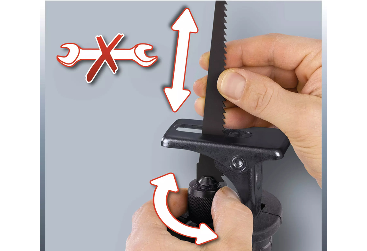 Απεικονίζεται η σέγα 